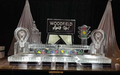 How Ice Displays Can Attract Corporate Sponsors to Your Charity Event