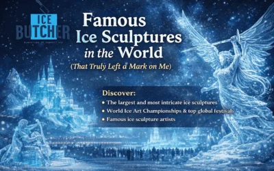 Famous Ice Sculptures in the World (That Truly Left a Mark on Me)
